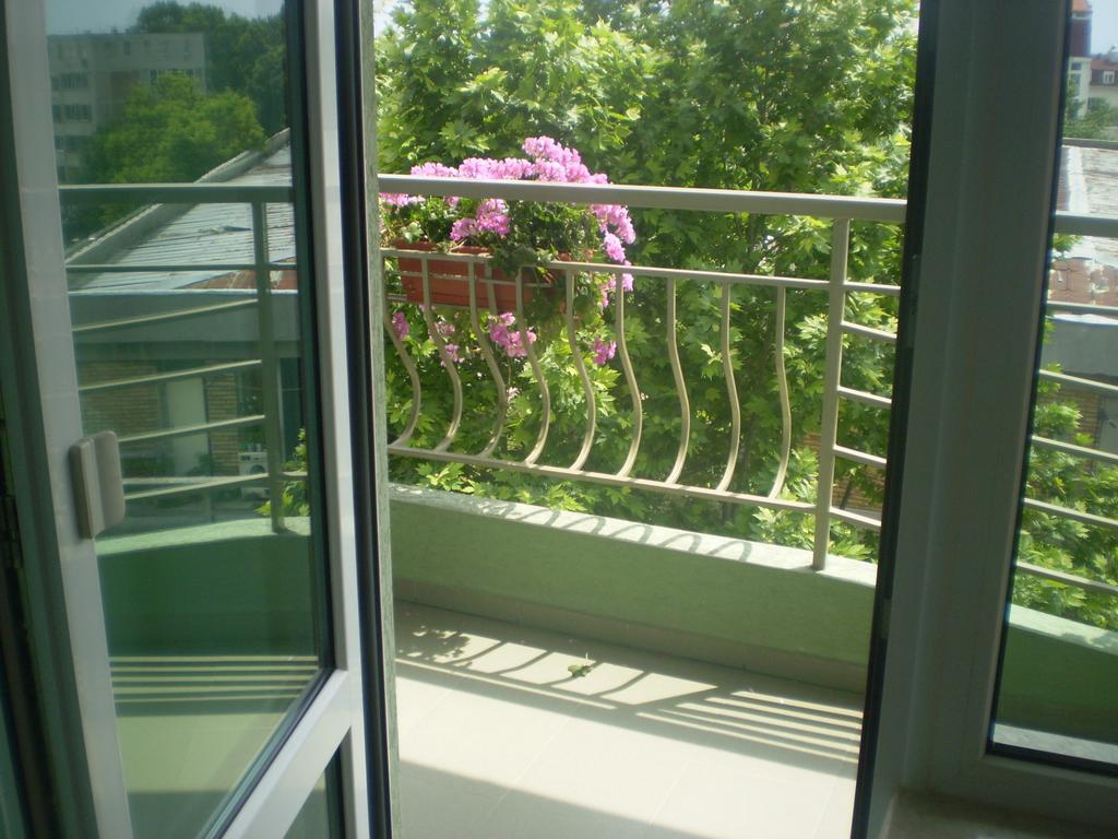 Guest House ,, Ekaterina" 네세부르 객실 사진