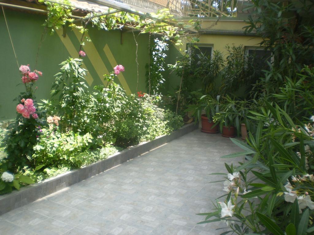 Guest House ,, Ekaterina" 네세부르 외부 사진
