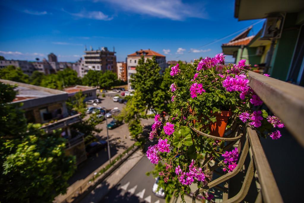 Guest House ,, Ekaterina" 네세부르 외부 사진
